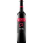 Chateau Topoľčianky Chateau Noir Alibernet 13% 0,75 l (holá láhev) – Hledejceny.cz