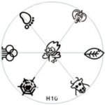 Destička na razítka H10 – Sleviste.cz