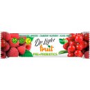 Dr. Light Tyčinka ovocná Fruit 30 g