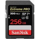 SanDisk SDXC UHS-II 256 GB SDSDXDK-256G-GN4IN