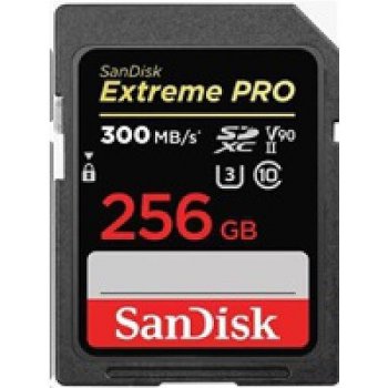 SanDisk SDXC UHS-II 256 GB SDSDXDK-256G-GN4IN