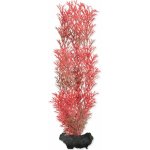 Tetra rostlina Red Foxtail Plus 23 cm – Hledejceny.cz