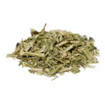 Salvia Paradise Právenka latnatá nať 60 g – Zboží Dáma