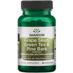 Swanson Grape Seed Green Tea & Pine Bark 60 kapslí – Hledejceny.cz