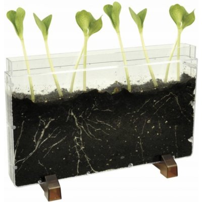 EDUPLAY Kořenový dům žížalí farma – Zboží Mobilmania