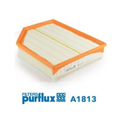 Vzduchový filtr PURFLUX A1813 – Hledejceny.cz