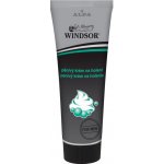 Windsor pěnivý krém na holení pro muže všechny typy 100 g – Hledejceny.cz