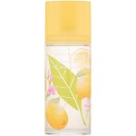 Elizabeth Arden Green Tea Honeysuckle toaletní voda dámská 100 ml – Hledejceny.cz