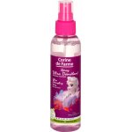 Corine De Fame Disney Frozen rozčesávač vlasů sprej 150 ml – Zbozi.Blesk.cz