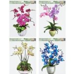 Anděl Přerov Okenní fólie bez lepidla orchideje tmavě růžová 42 x 30 cm – Sleviste.cz