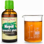 Bylinné kapky Nopál opuncie plody Pavlovy bylinné kapky tinktura 50 ml – Hledejceny.cz