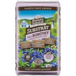 Forestina Substrát pro borůvky 40 l – Zboží Dáma