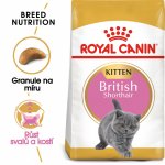 Royal Canin British Shorthair Kitten 400 g – Hledejceny.cz