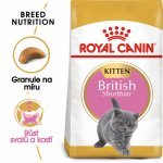 Royal Canin British Shorthair Kitten 0,4 kg – Zboží Mobilmania