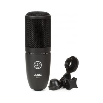 AKG Perception 120