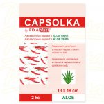 FIXAplast CAPSOLKA kapsaicínová nápl.13 x 18 cm 2 ks – Zboží Dáma