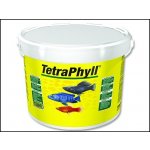 Tetra Phyll 10 l – Zbozi.Blesk.cz