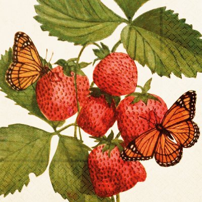 Skona Ting Papírový ubrousek Strawberry & Butterfly – Hledejceny.cz