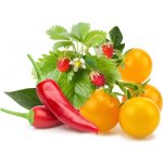 Click and Grow Mix ovoce a zeleniny, kapsle se semínky a substrátem 9ks – Zboží Mobilmania