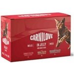 CARNILOVE Cat POUCH JELLY MULTIPACK 12x 85 g – Zboží Mobilmania