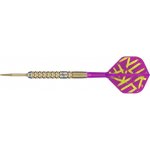 steel Target SP Luke Littler G1 Prodigy 23g, 90% wolfram – Zboží Dáma