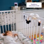 TrueLife Videochůvička digitální NannyCam R6 Dual Smart – Zbozi.Blesk.cz