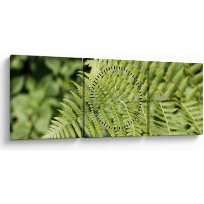Obraz - Kapradinový list (s hodinami), třídílný 90x30 cm s hodinami – Hledejceny.cz