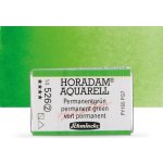 Schmincke Horadam akvarelové barvy v celé pánvičce 526 permanentní zelená – Hledejceny.cz