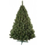 Nohel Garden NG 91413 Stromek BOROVICE umělý vánoční plus stojan 180cm – Zboží Dáma
