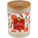 Air Wick Essentials Oils Apple Orchard & Ceylon Cinnamon 185 g – Hledejceny.cz