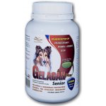Orling Gelacan Senior 150 g – Hledejceny.cz