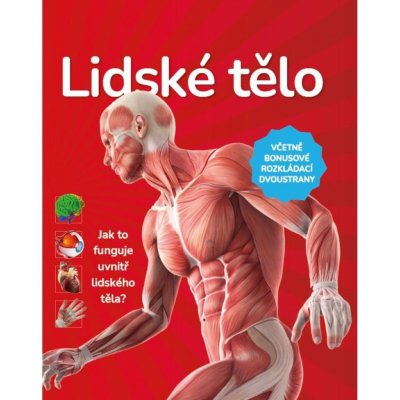 Lidské tělo – Zboží Mobilmania