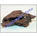 Decor Wood Kořen Driftwood Bulk L 35-55 cm – Zbozi.Blesk.cz