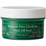 Axis y Mugwort Pore Clarifying Wash Off Pack 100 ml – Hledejceny.cz