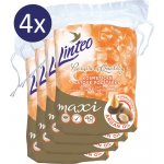 Linteo odličovací polštářky Premium maxi Argan Oil 4 × 40 ks – Zbozi.Blesk.cz