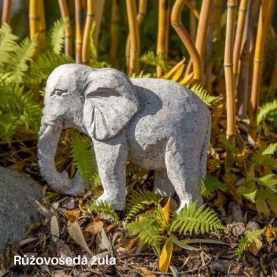 Kameny.cz Slon (žula) z přírodního kamene Vybere si barevnost: Růžovošedá žula – Zboží Mobilmania