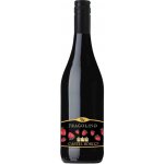 Decordi Fragolino Rosso Castel Borgo 7,5% 0,75 l (holá láhev) – Sleviste.cz