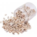 Nassa mini mušle - pískově hnědá - cca 15 x 7 x 7 mm - 1 ks – Hledejceny.cz
