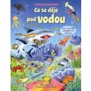 Co se děje pod vodou