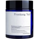 Pyunkang Yul Moisture Cream hydratační krém 100 ml