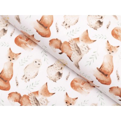 Dětská bavlněná látka/plátno Sandra SA-523 Lišky a sovy na bílém - šířka 160 cm – Zboží Dáma