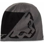 Dynafit Leopard Logo beanie lambo green – Hledejceny.cz