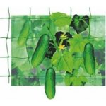 Zahradní centrum síť podpůrná na okurky 1,8x5m – Sleviste.cz