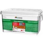 Colorlak Colornal mat 5 l bílá – Zbozi.Blesk.cz