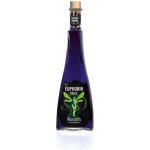 Hill's Euphoria Absinth Black 70% 0,5 l (holá láhev) – Zboží Dáma