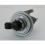 AGR-Ventil TRISCAN 8813 16045