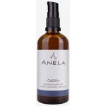 Anela Odlíčím dvoufázový odličovač očního i pleťového make-upu 30 ml – Hledejceny.cz