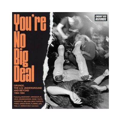 Various: You’re No Big Deal - Grunge, The US Underground and Beyond 1984-1994, 4 Box Set CD CD 4 – Hledejceny.cz