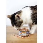 Marp Holistic Plus Tuňák se sardinkami a borůvkami v želé 70 g – Sleviste.cz