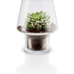 Skleněná váza na sukulenty Succulent Vase 15 cm Eva Solo – Zbozi.Blesk.cz